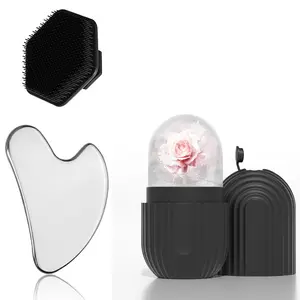 Silicone Ice Tray + Face Brush + Scratching Board Set, Facial Care Tools, Facial Cooling Tool, Facial Cleaning Scratching Tool, Skincare Essentials, Facial Cleansing Instrument