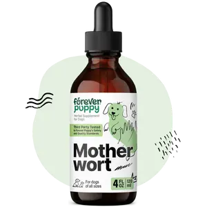 Motherwort Tincture for Dogs - Herbal Dog Heart Supplement - Motherwort Herb Liquid Extract - Canine Vitamins for Overall Well-Being - Sugar & Alcohol-Free Drops - 4 fl oz