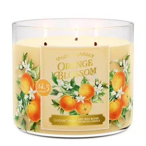 Orange Blossom 3-Wick Candle