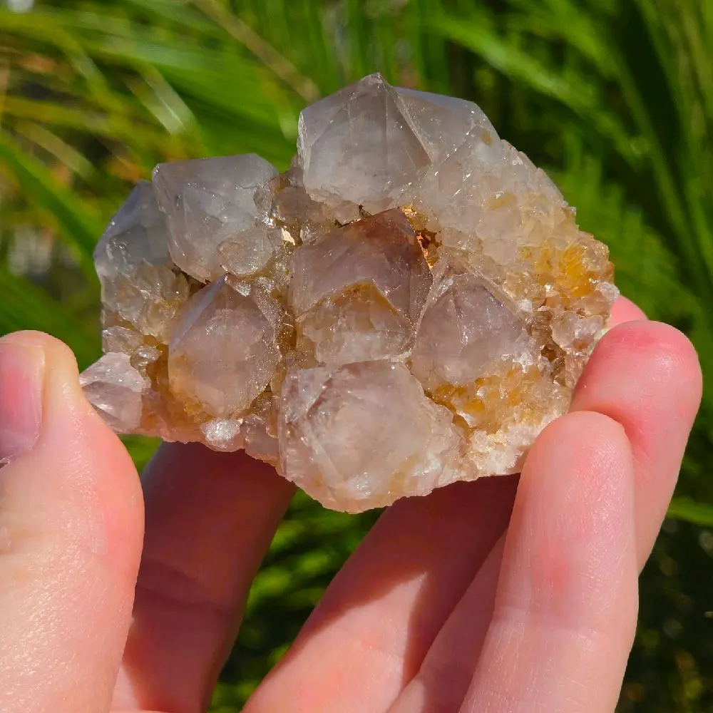 Natural Spirit Quartz Crystal Cluster Specimen