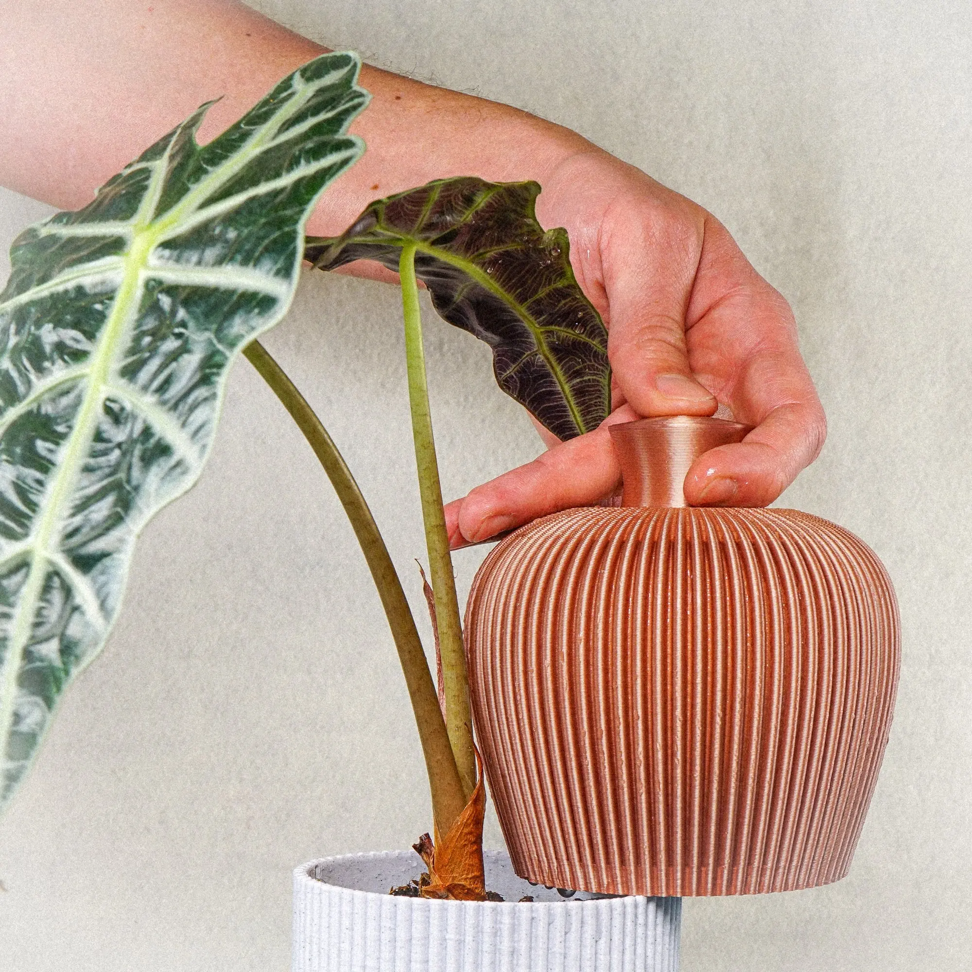 Ribbed Water Bell Thumb Pot for Home and Garden Use Ribbed Water Bell Thumb Pot for Home and Garden Use