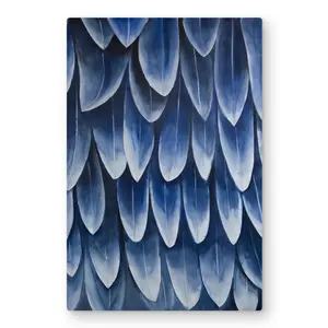 Begin Home Decor C1MP20307UD9LU 20 x 30 in. Plumage Blue Wall Art - Livingroom Feathers Metal Print