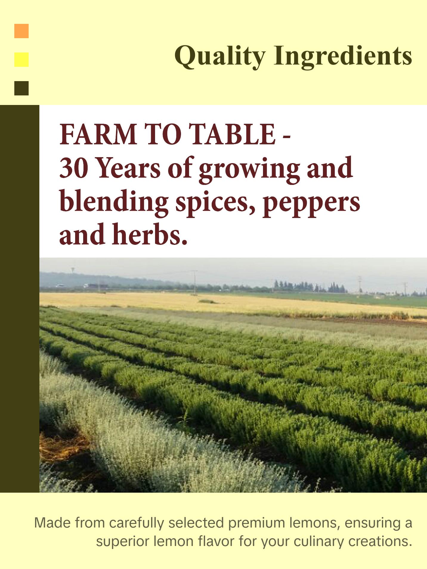 The Spice Way Granulated Lemon Peel  Pure Flavor No Preservatives Kosher Non GMO Salt Free