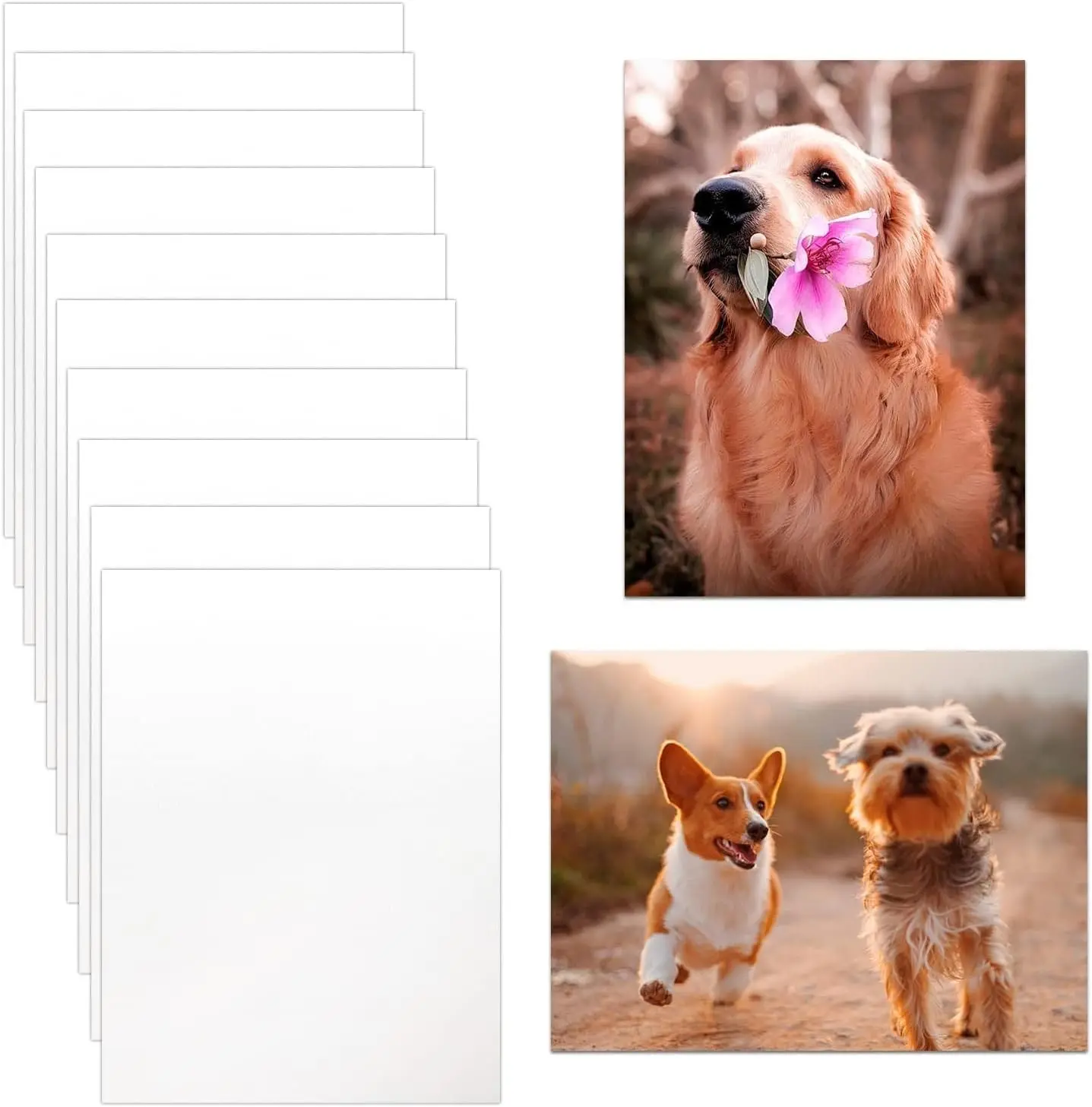 10 Pack Sublimation Metal Blanks, 8x10 Photo Sign Blanks | 0.45mm Thicker Aluminum, Vibrant& Fade-Resistant Printing Effect for DIY Photo, Poster, Home Decor & Personalized Present