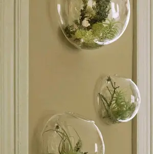 Set of 3 Wall Hanging Terrariums Indoor Plants Holders Wall Glass Vase for Flowers Planters for Succulents Air Plants Wall Mounted Decoration for Sunroom Living Room