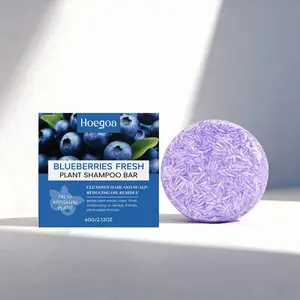 Hoegoa Blueberry Hair Care Shampoo Bar, Fruit Plant Extract Gentle Oil Control Hydration Volumizing Smooth Hair, Natural Ingredients