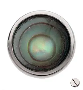 Abalone Shell Titanium Threadless Top