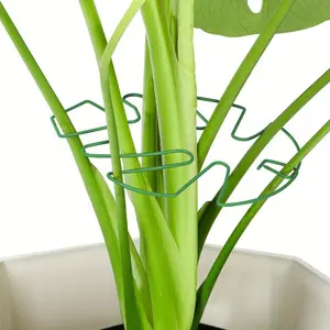 Durable Monstera Stabilizer Grapple Holder, Unique Design for Climbing Plants, Turtle Shell Bamboo Clamp, Ideal Plant Support for Thriving Growth, Plant Holders, Plant Trellis