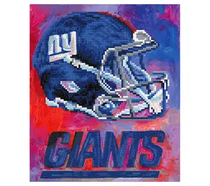 NFL Officially Licensed Sporticulture Team Craft Kit