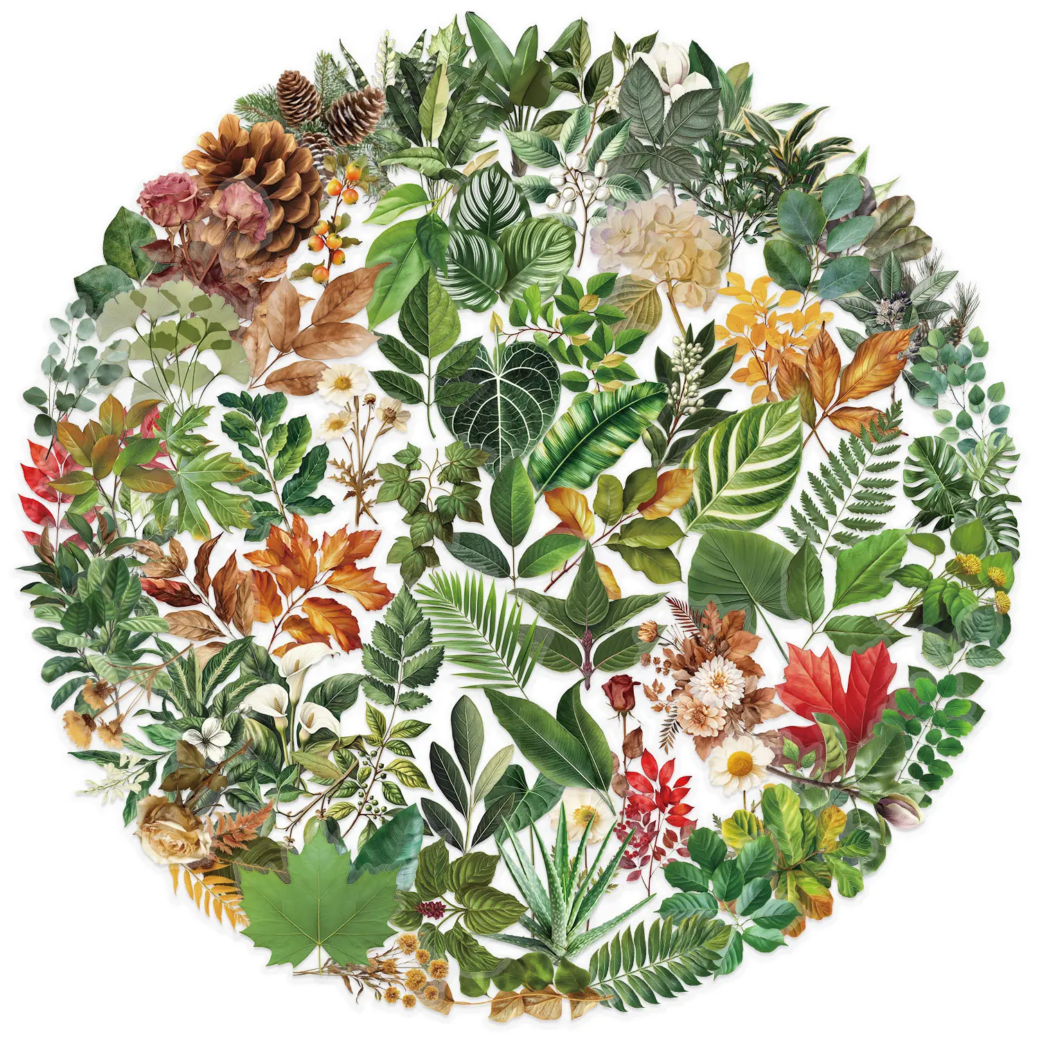 100-Pcs Green Plant Leaf Stickers - Transparent DIY Decorative for Scrapbooks, Phone Cases, Guitars