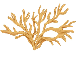 Kinggys SeaMoss Essentials LLC