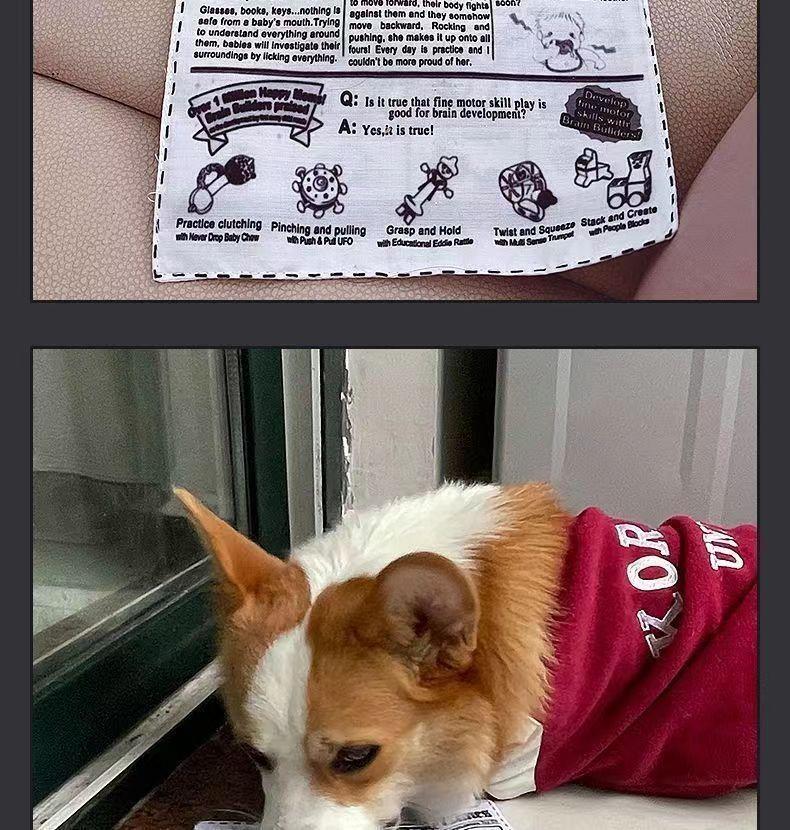 Pet Balloon Indestructible Newspaper Dog Toy Squeaky Chew for Boredom Relief Thickened Durable Teeth Cleaning Realistic Crinkle Safe Non Toxic Washable Quick Dry Interactive Play