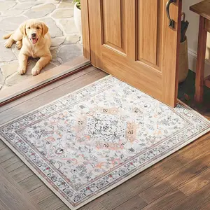2 x 3 ft Area Rugs Washable, Small Rugs for Entryway Kitchen Bathroom Door Mat Indoor Entrance, Non-Slip Backing Stain Resistant Carpets, Pet Friendly Low Pile Soft Rug,  Beige EF01AR01