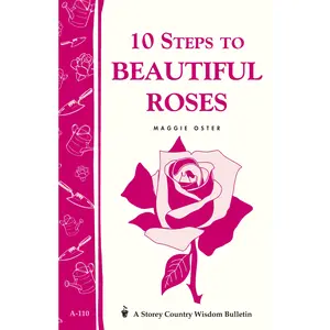 10 Steps to Beautiful Roses