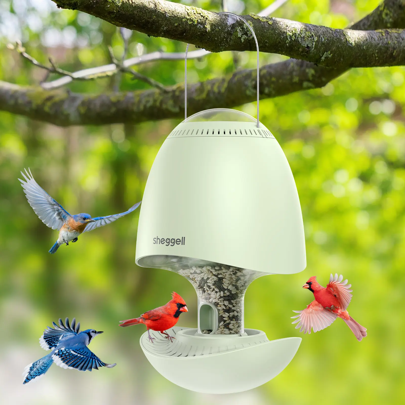 Sheggell Bird Feeder- Smart Spinning Squirrel Proof for Outside Hanging, Weight Activated Rotating Perch, Sound Deter Squirrel, Automatic Seed Dryer, Auto Open in Daylight and Close at Night, Bird Watching Gift for Backyard Outdoor -5LB