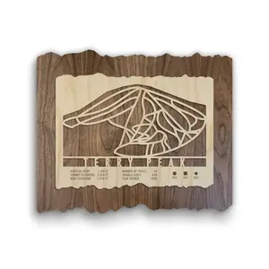 Terry Peak Ski Trail Map