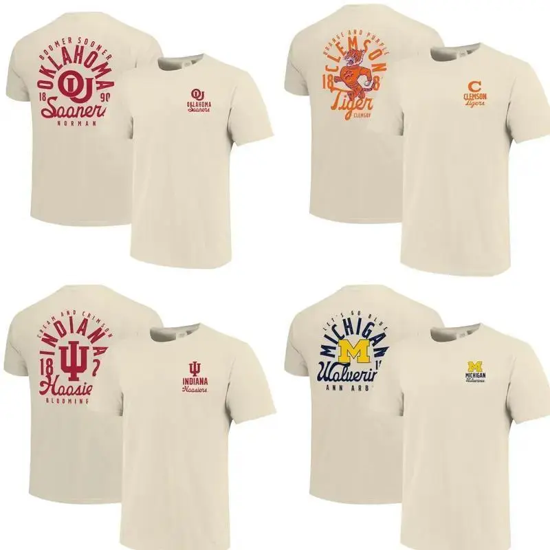All Teams Graphic Mascot Overlay T-Shirt, Vintage College Graphic Tee, Sport Fan Gift Shirt, Men's Oversized Athletic