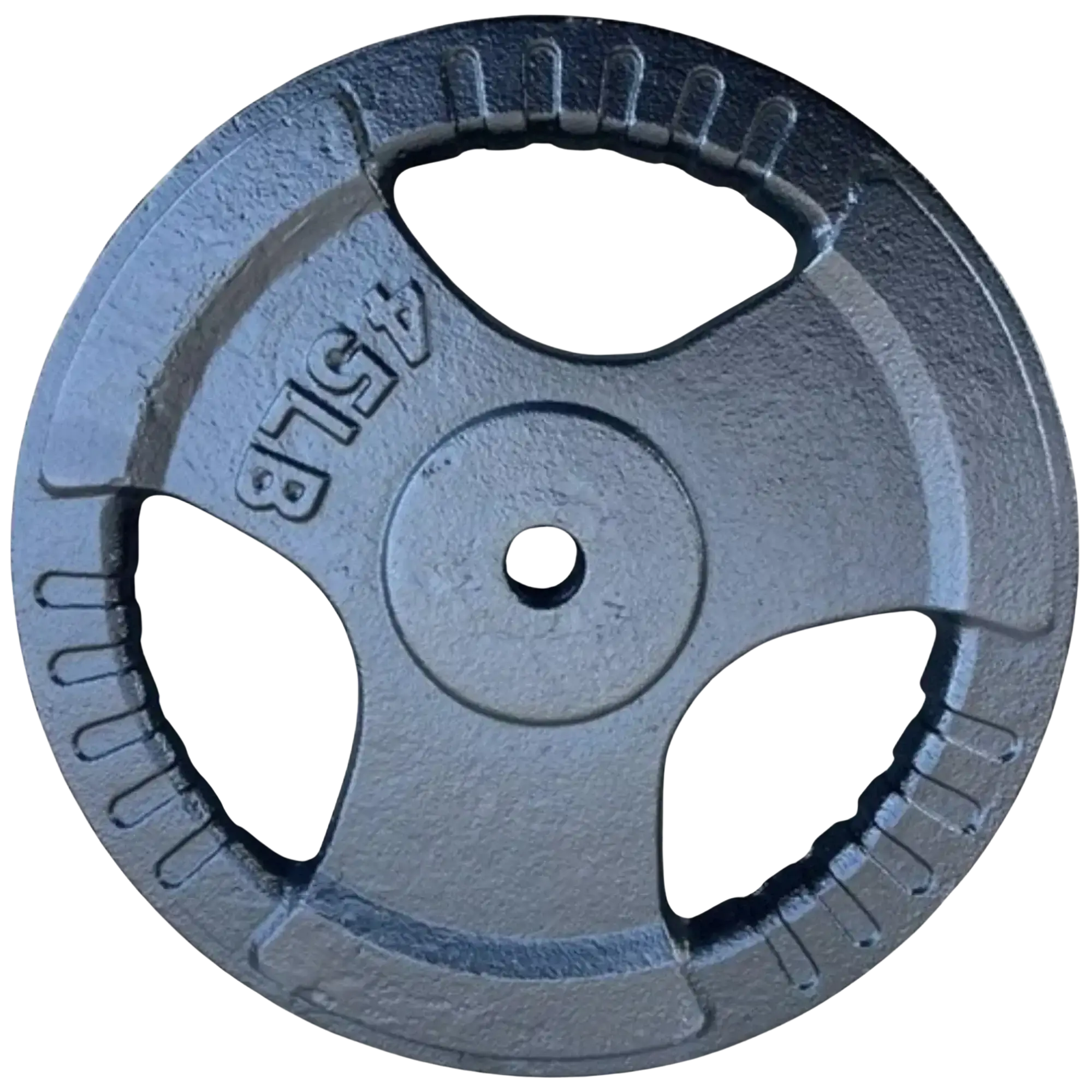 French Fitness Standard Cast Iron 1" Weight Plate 45 lbs (New)