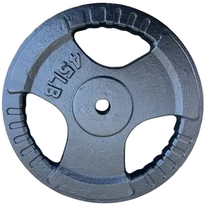 French Fitness Standard Cast Iron 1" Weight Plate 45 lbs (New)