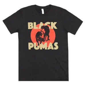 Classic Charcoal Black Triblend T-Shirt