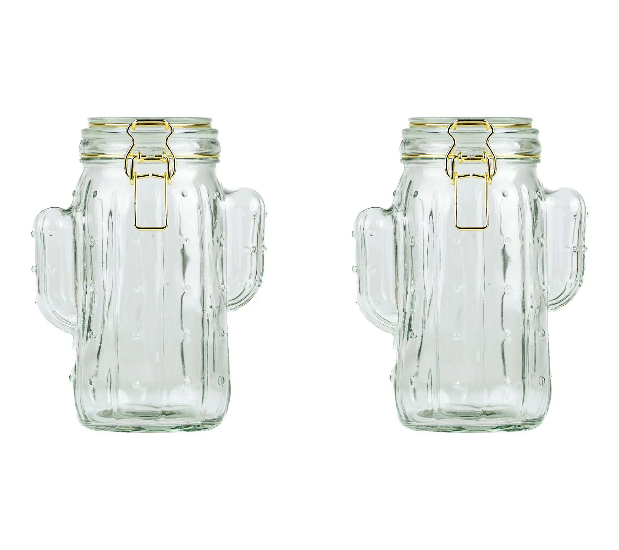 10 Strawberry Street Set of 2 Saguaro Hermetic Jars, Medium 10 Strawberry Street Set of 2 Saguaro Hermetic Jars, Medium