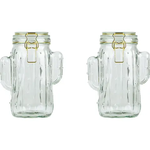 10 Strawberry Street Set of 2 Saguaro Hermetic Jars, Medium