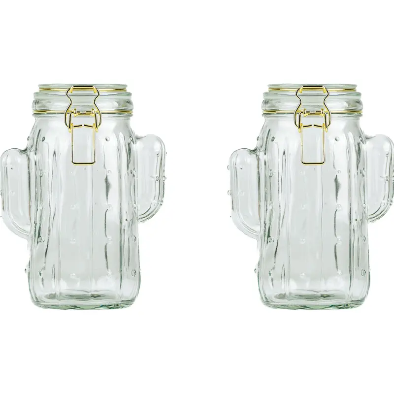 10 Strawberry Street Set of 2 Saguaro Hermetic Jars, Medium