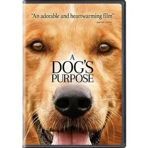 USED-A Dog's Purpose (DVD)