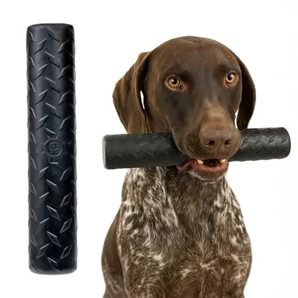 monstera poisonous to dogs - TikTok Shop