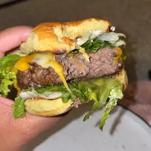 Pukomc Electric Indoor Grill,2 in 1 Indoor Grills for Kitchen with Grill Net & Non-Stick Cooking Removable Plate, Temperature Control, Dishwasher Safe, 1800W Smokeless barbecue Universal Griddle