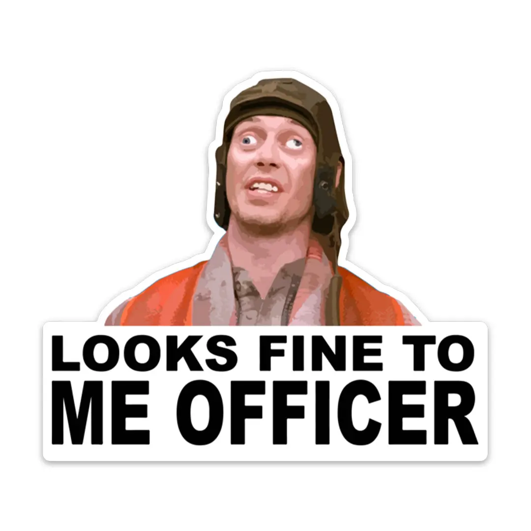 Looks Fine To Me Vinyl Sticker, Sarcastic Mechanic Decal, Funny Bad Repair Sticker, Laptop Water Bottle Car Decal