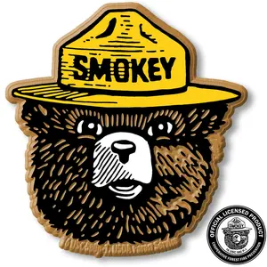 Smokey Bear Head Magnet by Classic Magnets