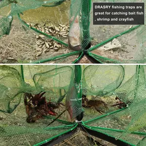 Foldable Fishing Bait Trap, 4/6-Hole Design for Catching Small Fish & More, Ideal for Angling Adventures, Durable Construction, Fishing Accessories