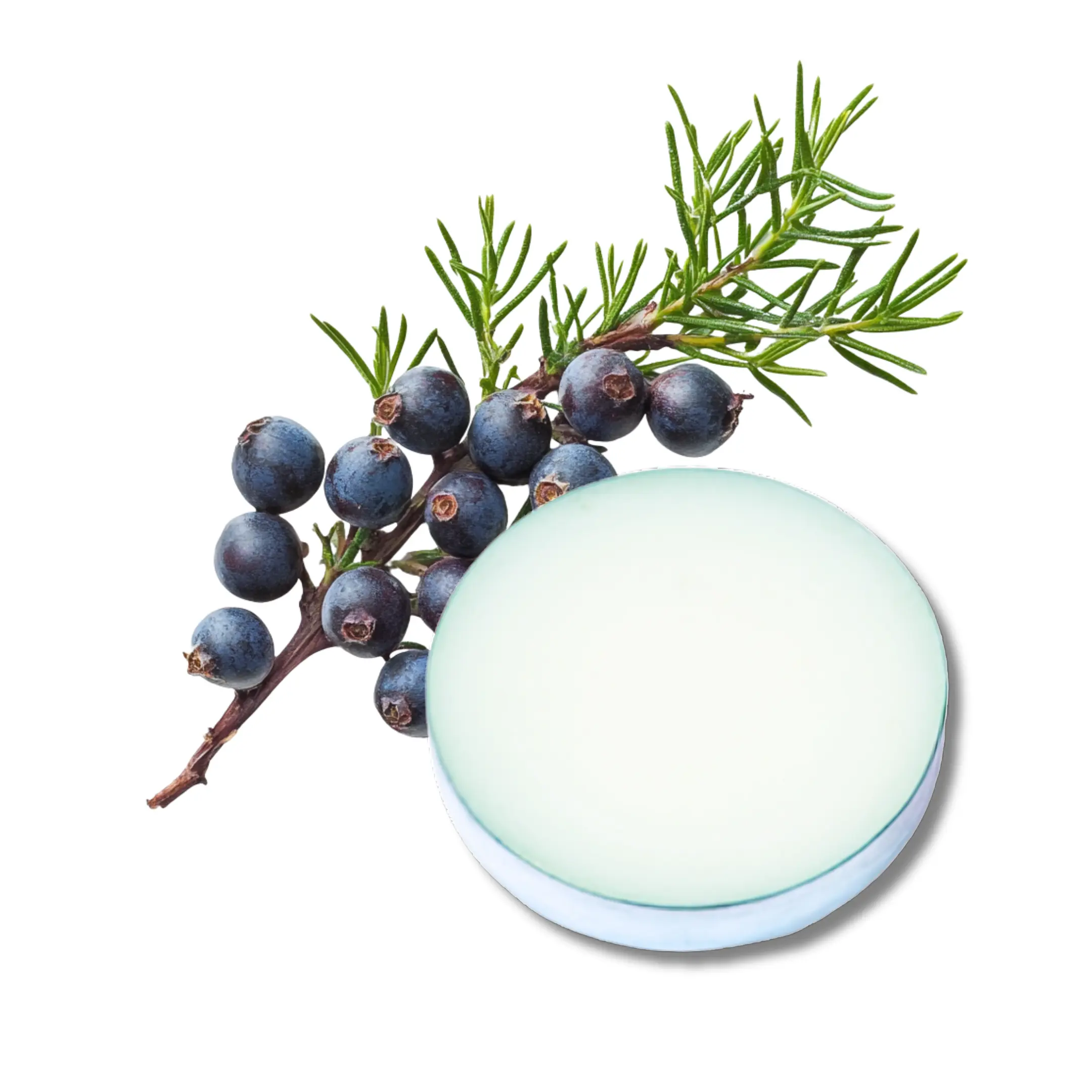 Juniper Berry - Solid Perfume Fragrance Pod - Create Custom Perfume in Minutes