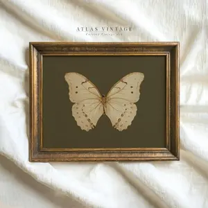 [UNFRAMED POSTER] Vintage White Butterfly Print, Dark Moody Insect Printable Wall Art, Cottagecore Saige Green Decor Digital, Antique Moth Painting