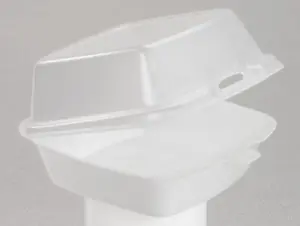 Dart DCC 60HT1 Foam Hinged Lid Carryout Container, 5.88 in. x 6 in. x 3 in. - Kitchen Utensils Preserving Container