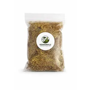 Sphagnum Moss | Premium Dried Sphagnum Moss for Terrariums, Isopods, Reptiles and Plants