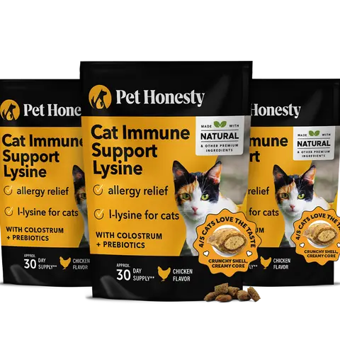 Pet Honesty Dual Texture Immune Support Lysine for Cats – Allergy Relief & Immune Health Supplement for Cats 3-Pack (90 Day Supply) – Supports Respiratory, Skin & Immune System with L-Lysine, Colostrum & Quercetin (Chicken Flavor)