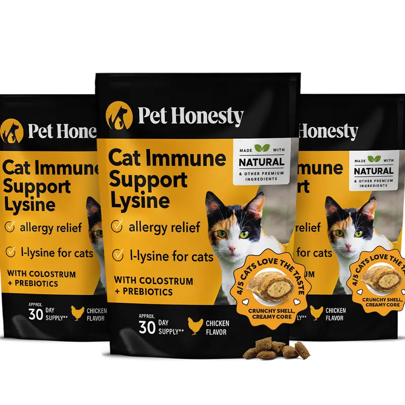 Pet Honesty Dual Texture Immune Support Lysine for Cats – Allergy Relief & Immune Health Supplement for Cats 3-Pack (90 Day Supply) – Supports Respiratory, Skin & Immune System with L-Lysine, Colostrum & Quercetin (Chicken Flavor)