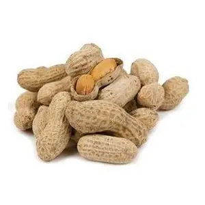 Peanuts In Shell Roasted & Salted Medium Roast