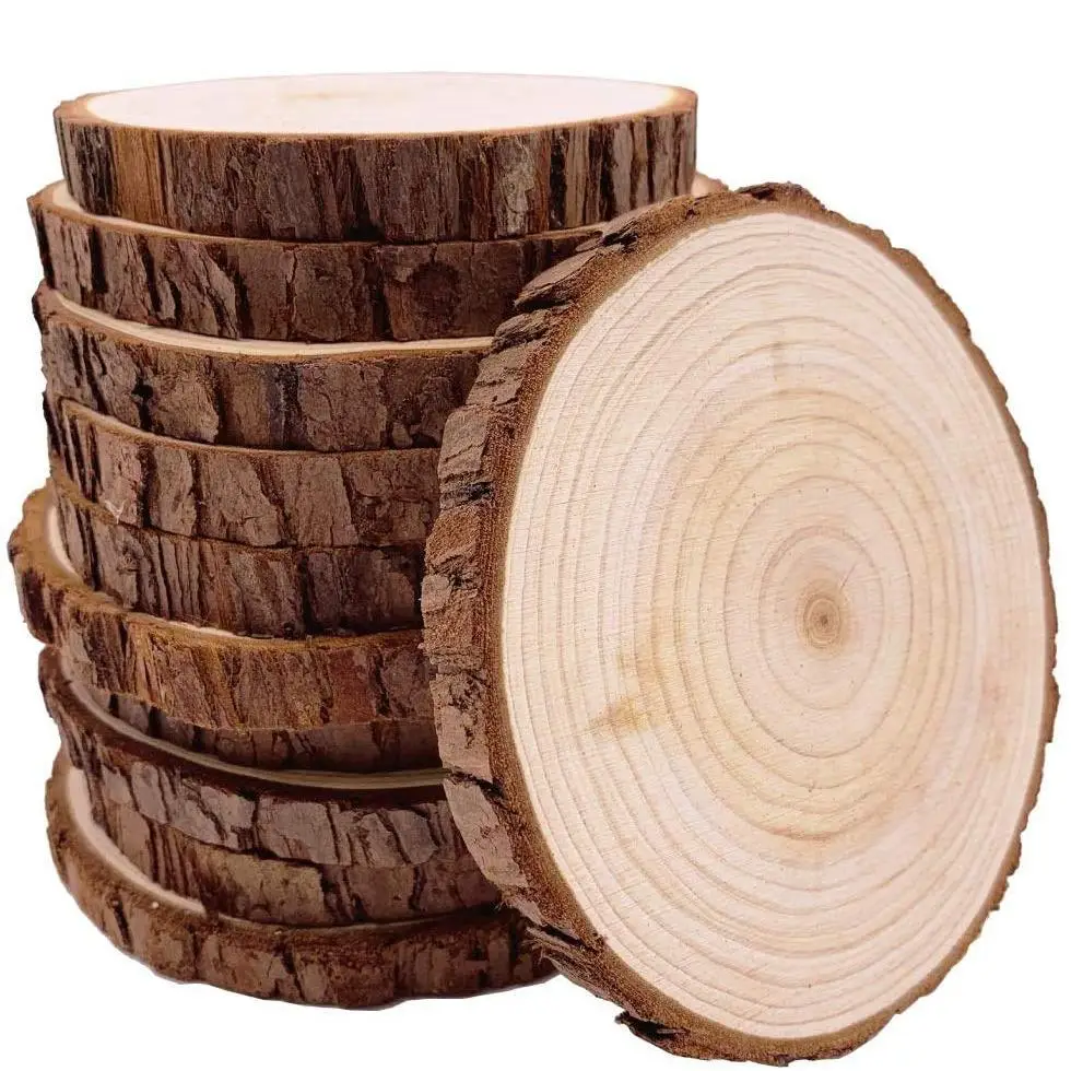 Unfinished Natural Wood Slices, 10pcs/set 3.9-4.7 Inch Round Disc Wood Coaster, DIY Craft Wood Kit for Crafts, Rustic Wedding Decoration