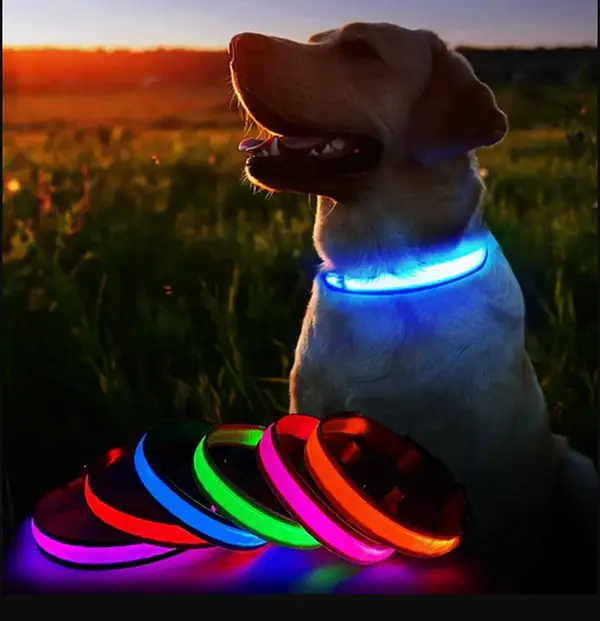 Lumi LED Collar- Multi Color