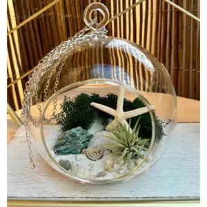 Air Plant Ornament, DIY Hanging Fuchsite Crystal Terrarium Kit, Gift Idea, 5x5 inches