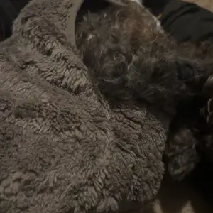 Warm Fleece Pet Vest Jacket with Leash Ring, Sleeveless Anti-Shedding Coat for Small and Medium Dogs and Cats, Fall and Winter