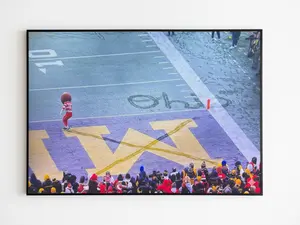 Brutus Buckeye Ohio Graphic Snow Football Print Poster, College Football Rivalry Decor, Photo Picture Posters Room Decor Home Decorative