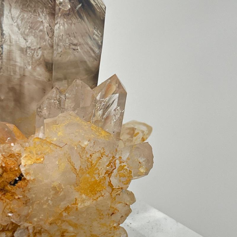 [Earth Archive] Namibian Backbone Smokey Quartz | Crescent Cast