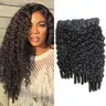 [Summervibes] Burmese Curly Bundles Human Hair 10A Brazilian Virgin Human Hair 14-30 Inches Bundles Double Weft Bundles Natural Black Color Wet and Wavy Glueless