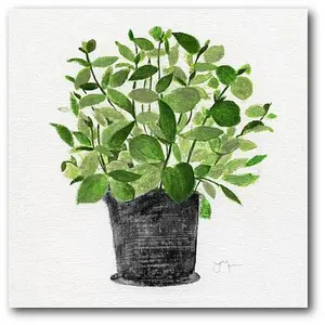 Courtside Market Basil 16x16 Canvas Wall Art