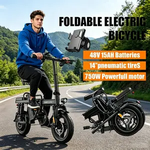 Car Trunk Foldable E-Bike 14 Inch 1000W Motor 15Ah Removable Lithium Battery Front Rear Disc Brake LED Meter Urban Commuter Bike, Long Range Smart Remote Unlock for Adult Travel