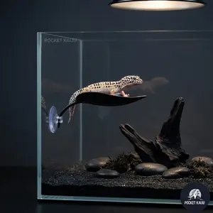 1pc Strengthened Suction Cup Climbing Pet Aquascape Leaf, Betta Fish Bed Leaf, Lizard Rest Platform, Chameleon Spider Hideaway